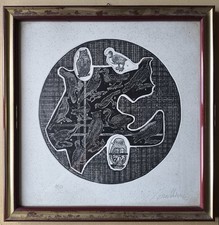 Splendida acquaforte di