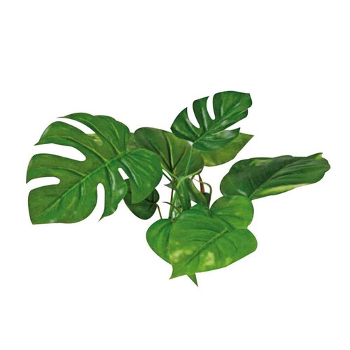 Wave decor anubias - wave,