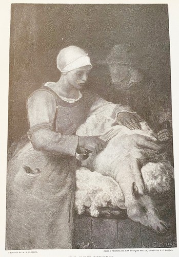 Cesoie pecore antica - cesoie, di