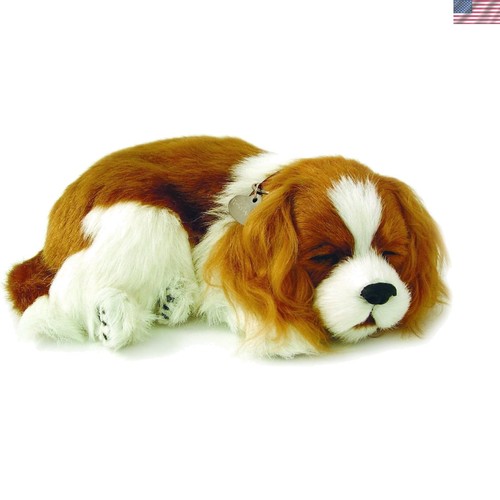Originale petzzz cavalier king - petzzz,