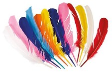Piume da Indiano Colori