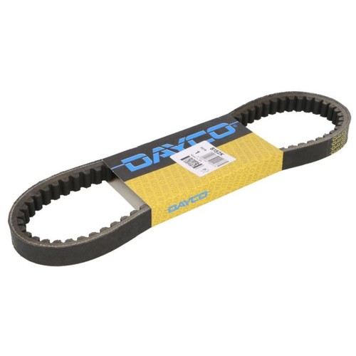 Cinghia trasmissione dayco - di,