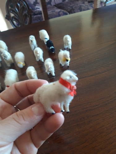 Pecore presepe - pecore, da