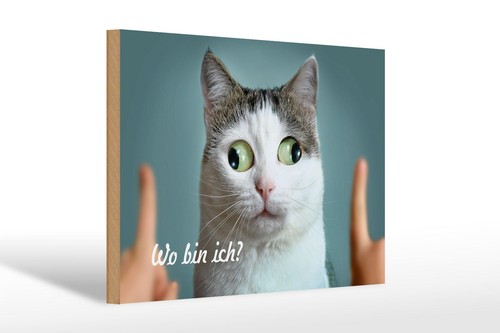 Targa legno animali 20x30 - in,