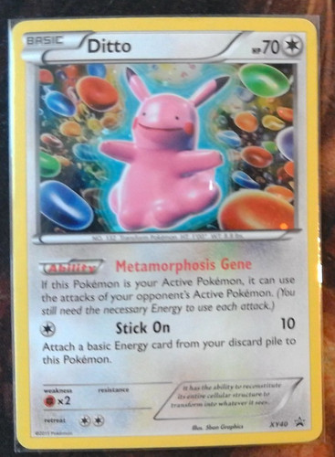 2015 pokemon promo - 2015, xy