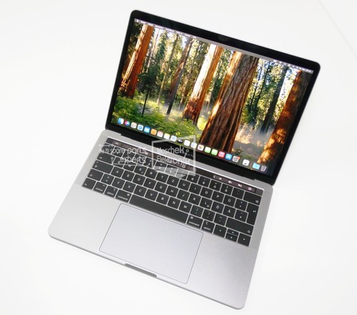 Apple macbook pro - macbook, 13,3"