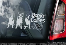 Adesivo auto Border Collie -