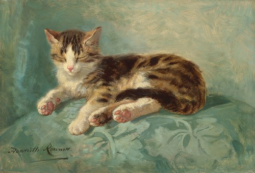 Cat pisolino henriette - pisolino,