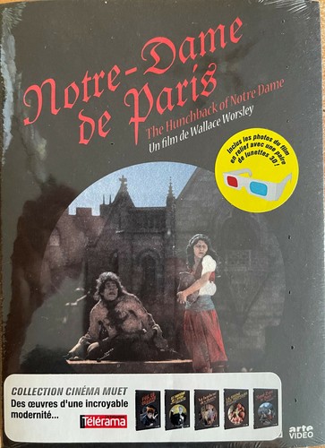 Notre dame paris - dame,
