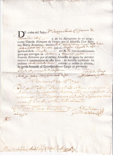 Zz517 documento carico e - di,