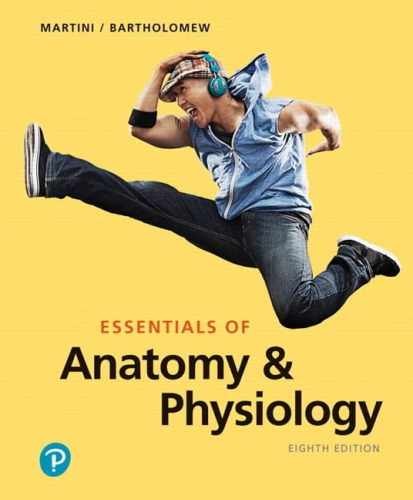 Essentials anatomy - essentials,