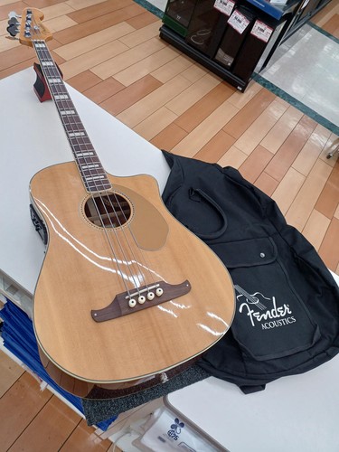 Basso elettrico acustico