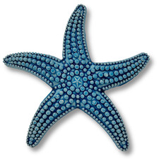 Toocook Stella marina in