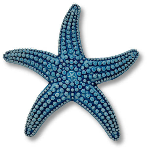Toocook stella marina - stella,
