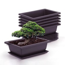 Vasi per Succulente e Piante
