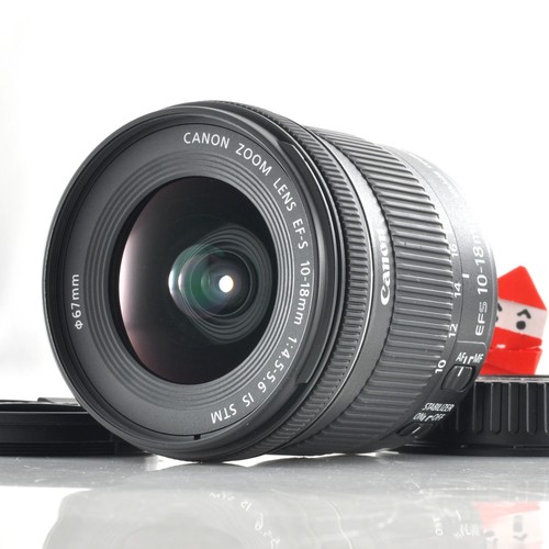 Obiettivo grandangolare canon - grandangolare,