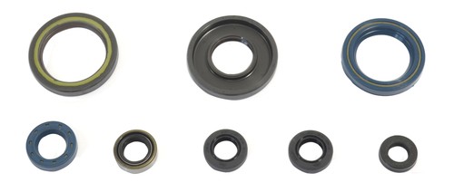 Set guarnizioni motore - guarnizioni,