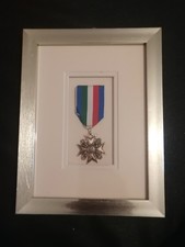 Polizia Di Stato - Croce Anzianità Di Servizio (Bronzo, 20 Anni) 