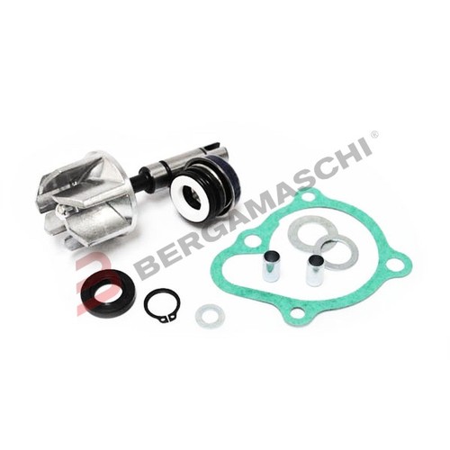 V839300735 kit pompa acqua - kit,