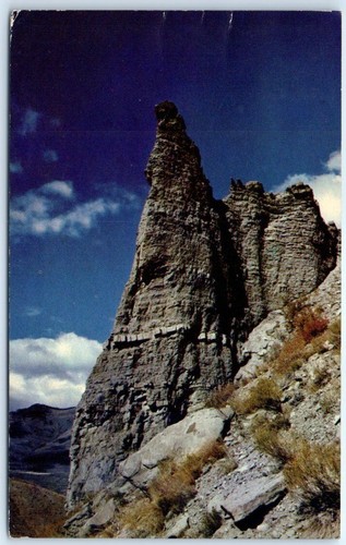 Eagle nest rock - nest, gardner