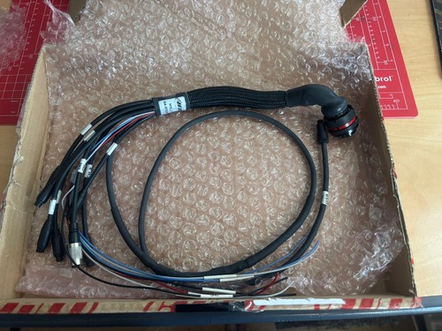 Cablaggio standard pin per - cablaggio,