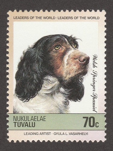 Welsh springer spaniel - spaniel, **