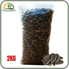 SEMI DI GIRASOLE CON GUSCIO GRANDI MIGNINI 2KG PER UCCELLI PAPPAGALLI E VOLATILI