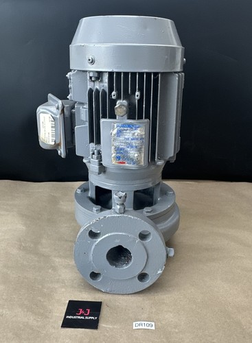 Pompa ebara 40lpd motore - ebara, 61.5a
