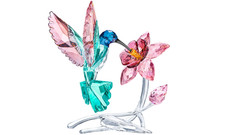 Swarovski 5728071 Colibrì