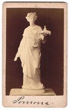 Statua fotografica: Pomona 