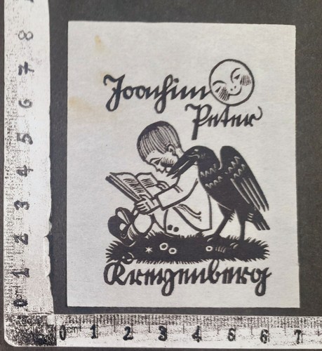 Wunderkammer exlibris 438 - wunderkammer,