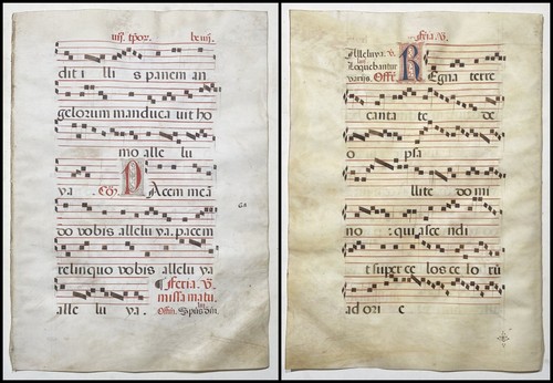 Antifonario pergamenaceo - antifonario,