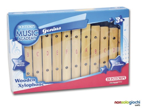 Xilofono note legno gioco - 12,