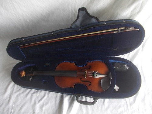 Violino acustico - violino,