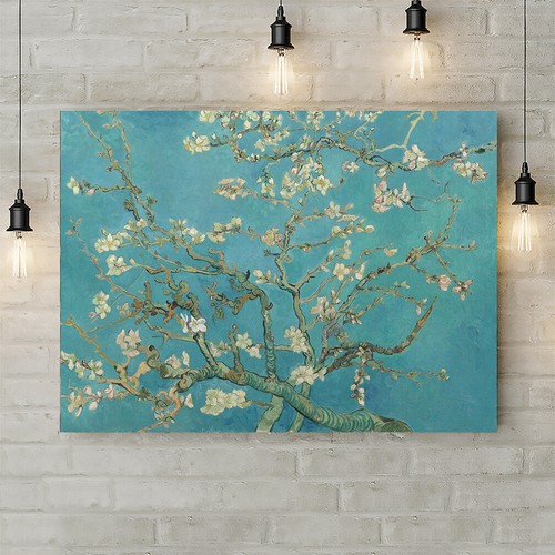 Van gogh fiore - van, di