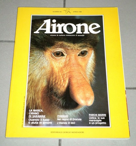 Airone apr 1988 - 84, nasica