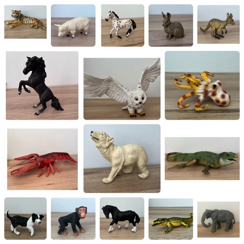 Animal figures giocattoli - animal,