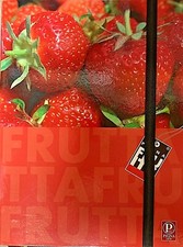 Raccoglitore cartellina