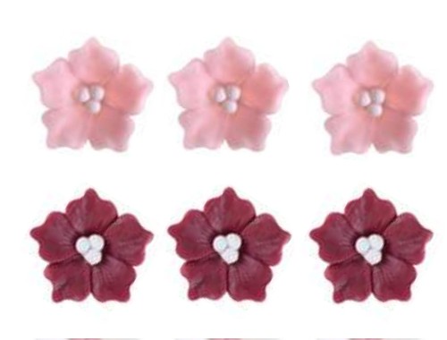 Fiore phlox zucchero - fiore, in