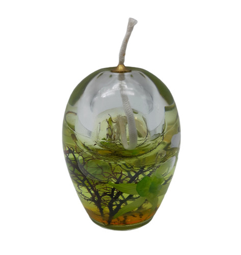 Ampolla lampada olio vetro - lampada, olio,