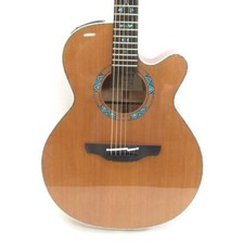 Chitarra acustica Takamine