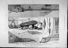 Vecchia Stampa Antica