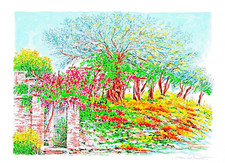 Marisa Benetti Serigrafia