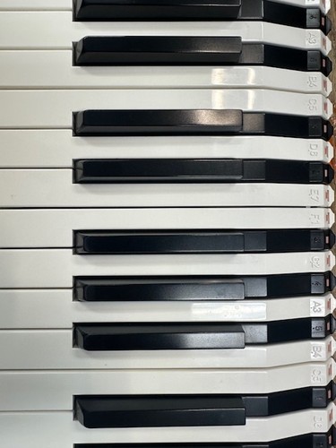 Korg triton extreme scegli - triton, 88