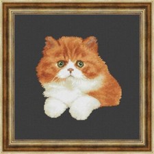 Kit punto croce gattino