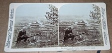 Underwood Stereoview Gold