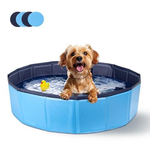 Piscina per cani - piscina, grandi
