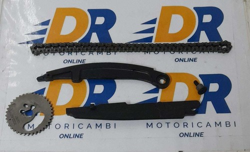 Catena distribuzione piaggio - catena,
