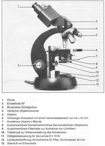 Microscopio binoculare zeiss - microscopio,
