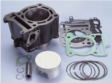 KIT GRUPPO TERMICO POLINI X MBK CITYLINER 125 RENAULT KOURANOS 125 Carb.166.0100